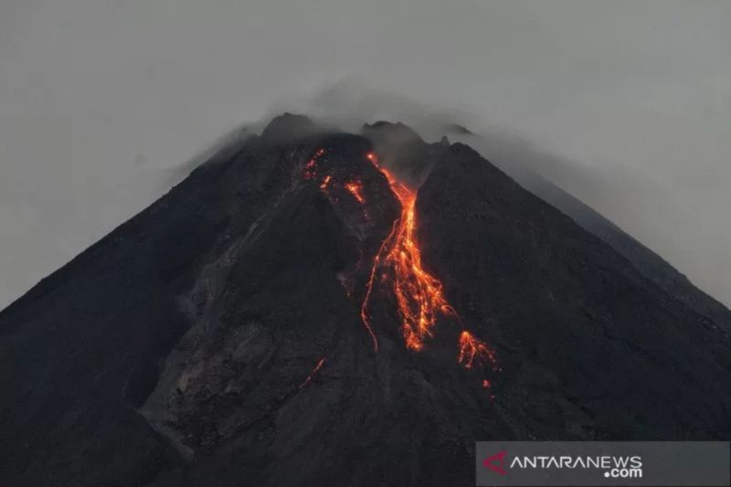 Gunung Merapi Luncurkan Guguran Lava Pijar Sejauh 1.800 Meter