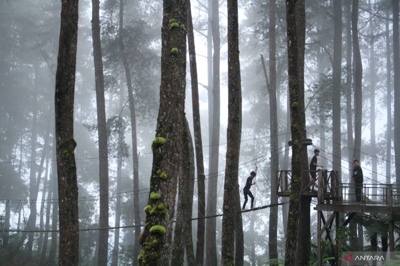 Sederet Rekomendasi Destinasi Panorama Indah di Indonesia