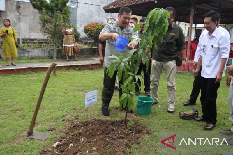 Kementan Beri Bibit Hortikultura ke Sabang Wujudkan Ketahanan Pangan
