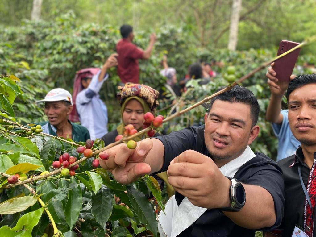 Desa Kute Lintang dan Pegasing Gelar Festival Panen Kopi Gayo