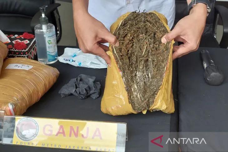 BNN Pidie Tangkap Seorang Pembawa 200 Kilogram Ganja