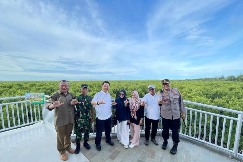 Pembangunan Menara di Hutan Mangrove Langsa Rampung 2023
