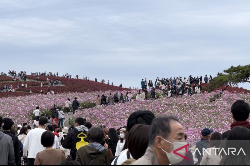 WNI di Jepang Diingatkan Jaga Diri, Kasus COVID-19 Kembali Meningkat