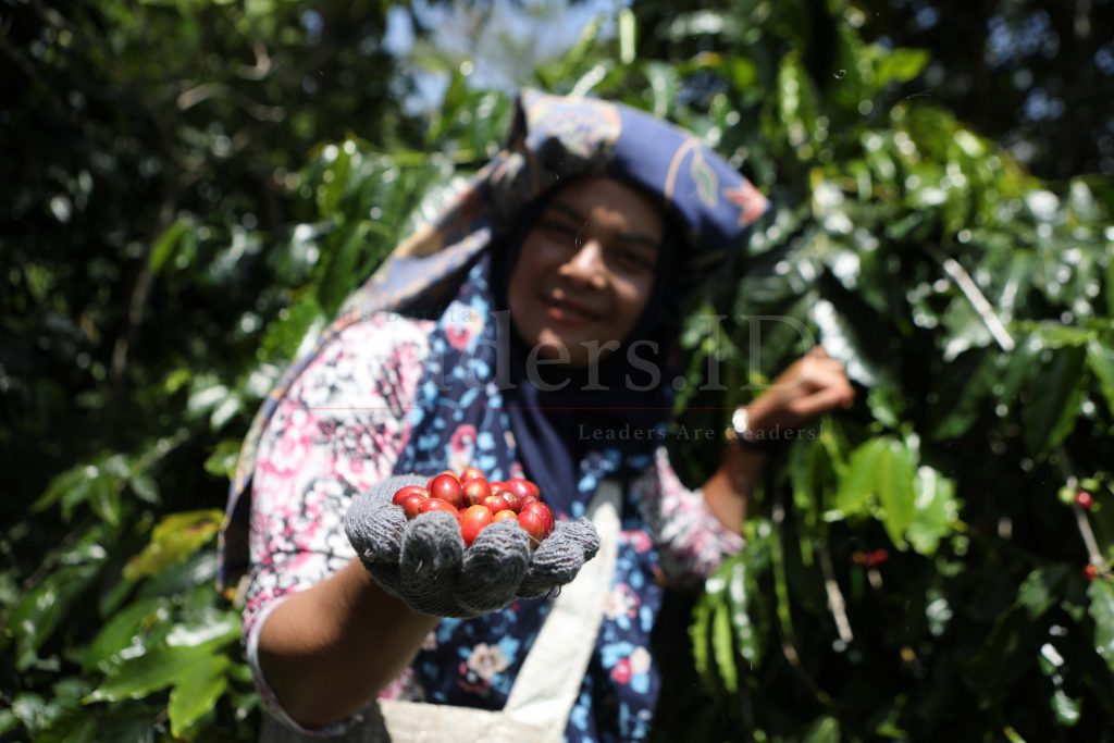 Dukung Petani Kopi Indonesia, AS Melalui USAID Luncurkan <i>Resilient Coffee</i>