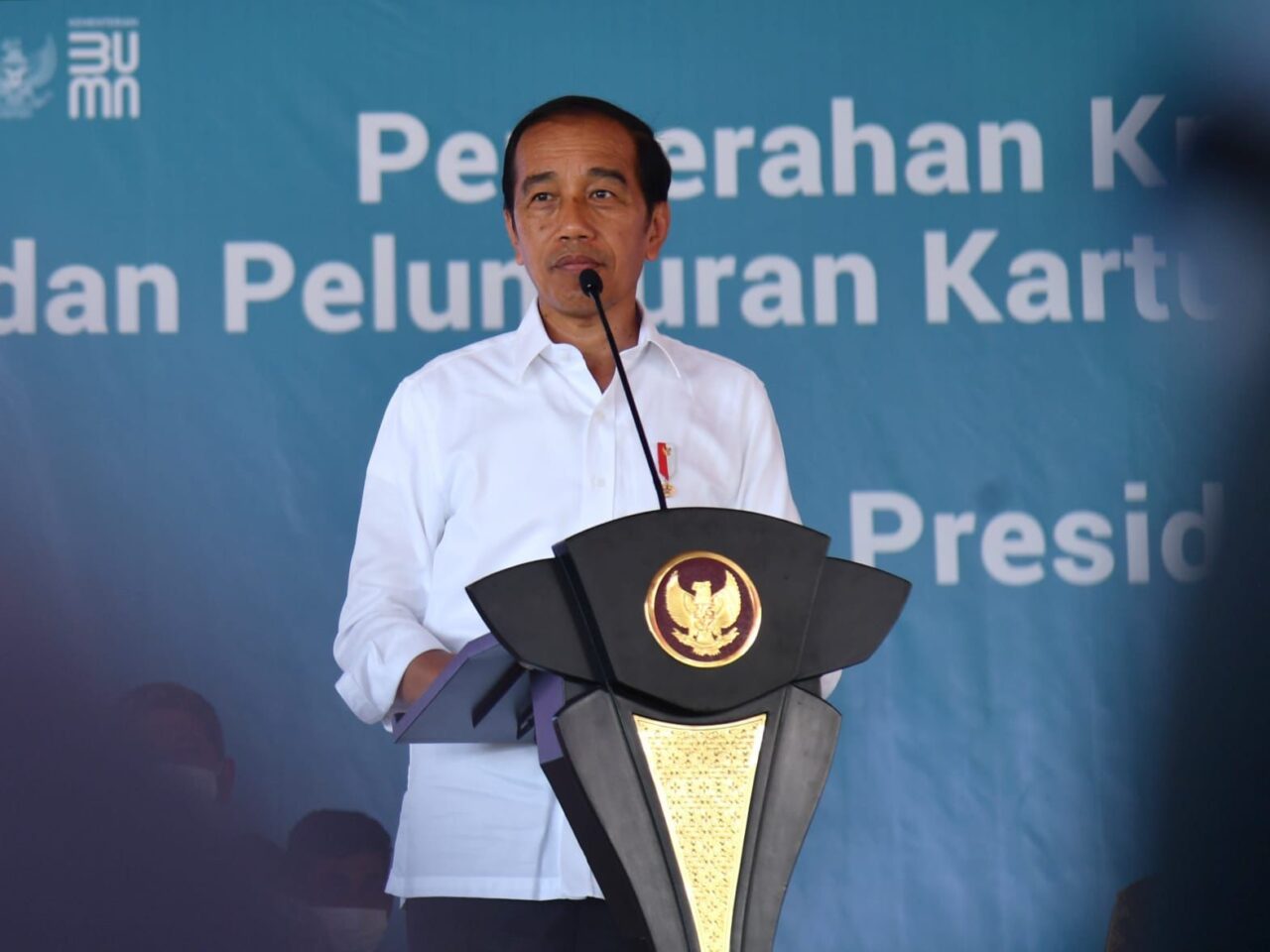 Potensi Alam Aceh Besar, Jokowi Kenang Masa Dinas 3 Tahun di PT Kertas Kraft Aceh