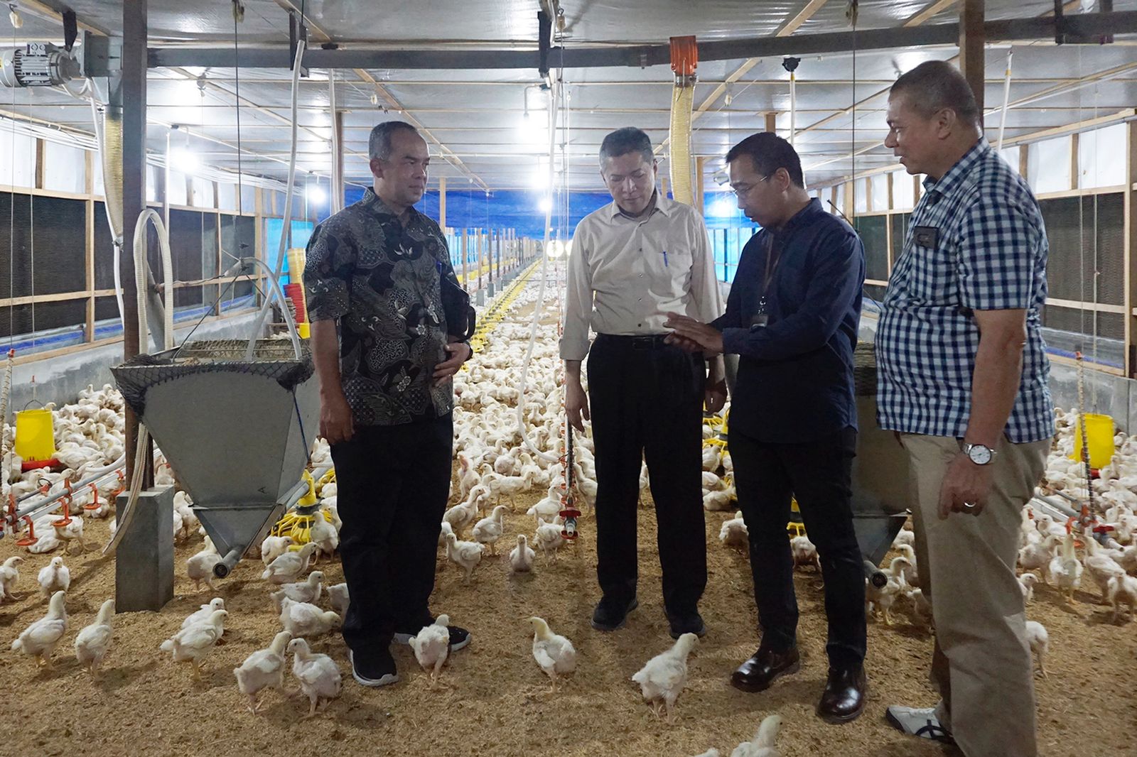 Karena Permintaan Daging Ayam Tinggi, USK Serius Kembangkan Farm Ayam Broiler