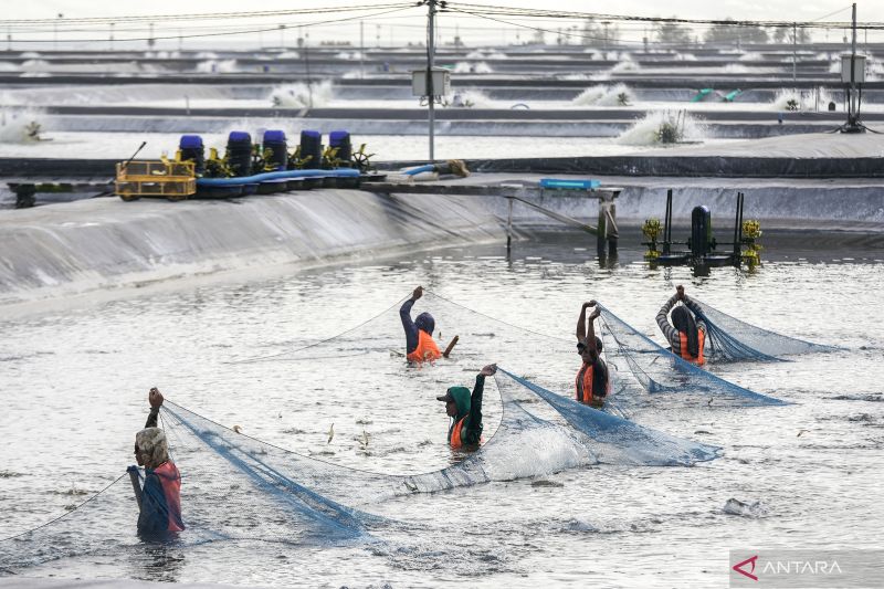 Bergerak Bersama Untuk Mewujudkan Ekonomi Biru