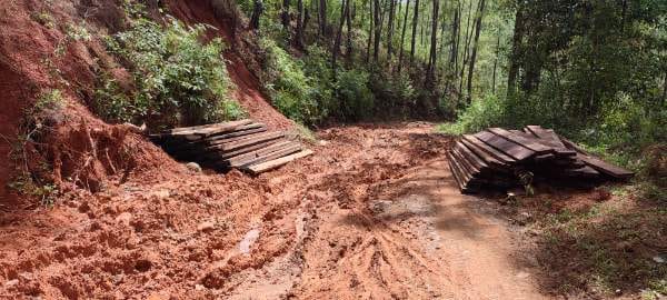 Polda Aceh Diminta Usut Tuntas Aktivitas <i>Illegal Logging</i> di Gewat-Mungkur, Aceh Tengah