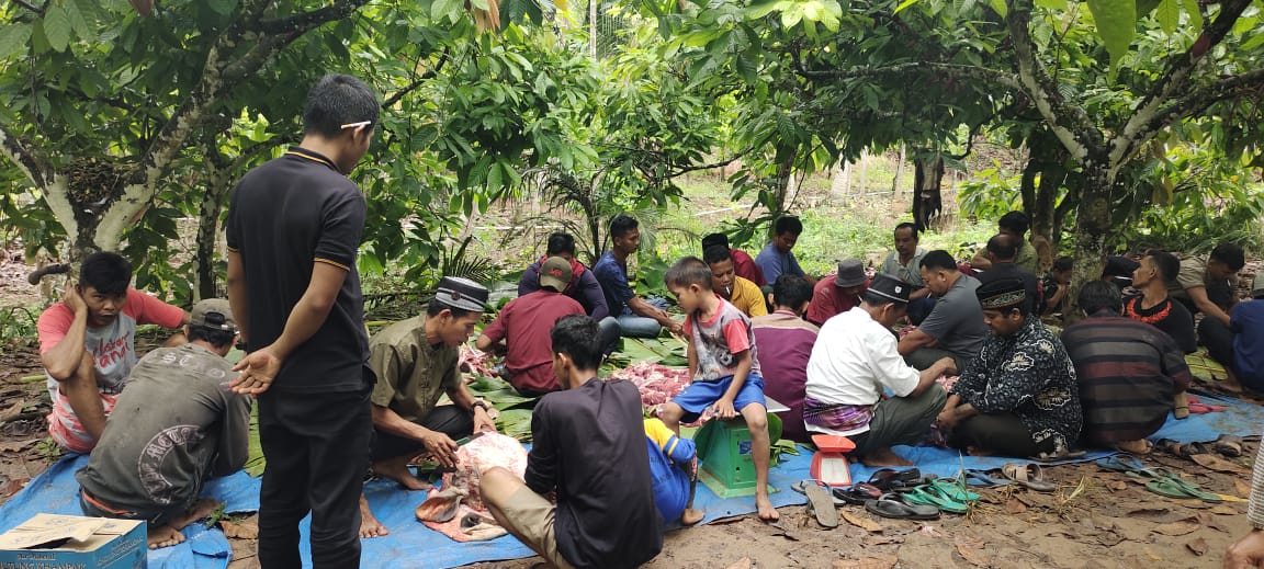 FDP Salurkan 81 Hewan Kurban ke Perbatasan dan Kamboja