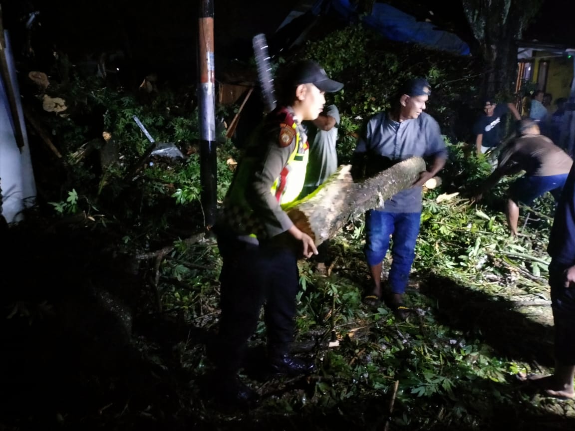 Dua Rumah di Panton Labu Hancur Ditimpa Pohon
