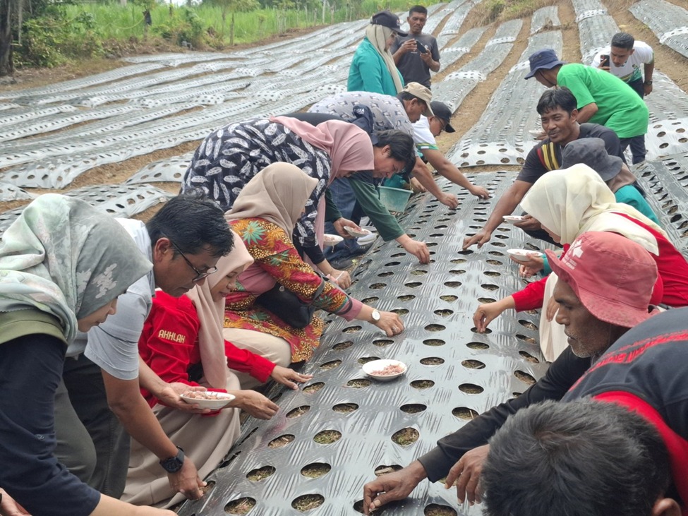 Gandeng USK, DKPPP Lhokseumawe Kebut Pengembangan Kawasan Sentra Bawang Merah