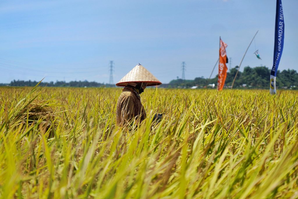 Petani Terdaftar di e-RDKK Bisa Peroleh Pupuk Subsidi dari PT PIM