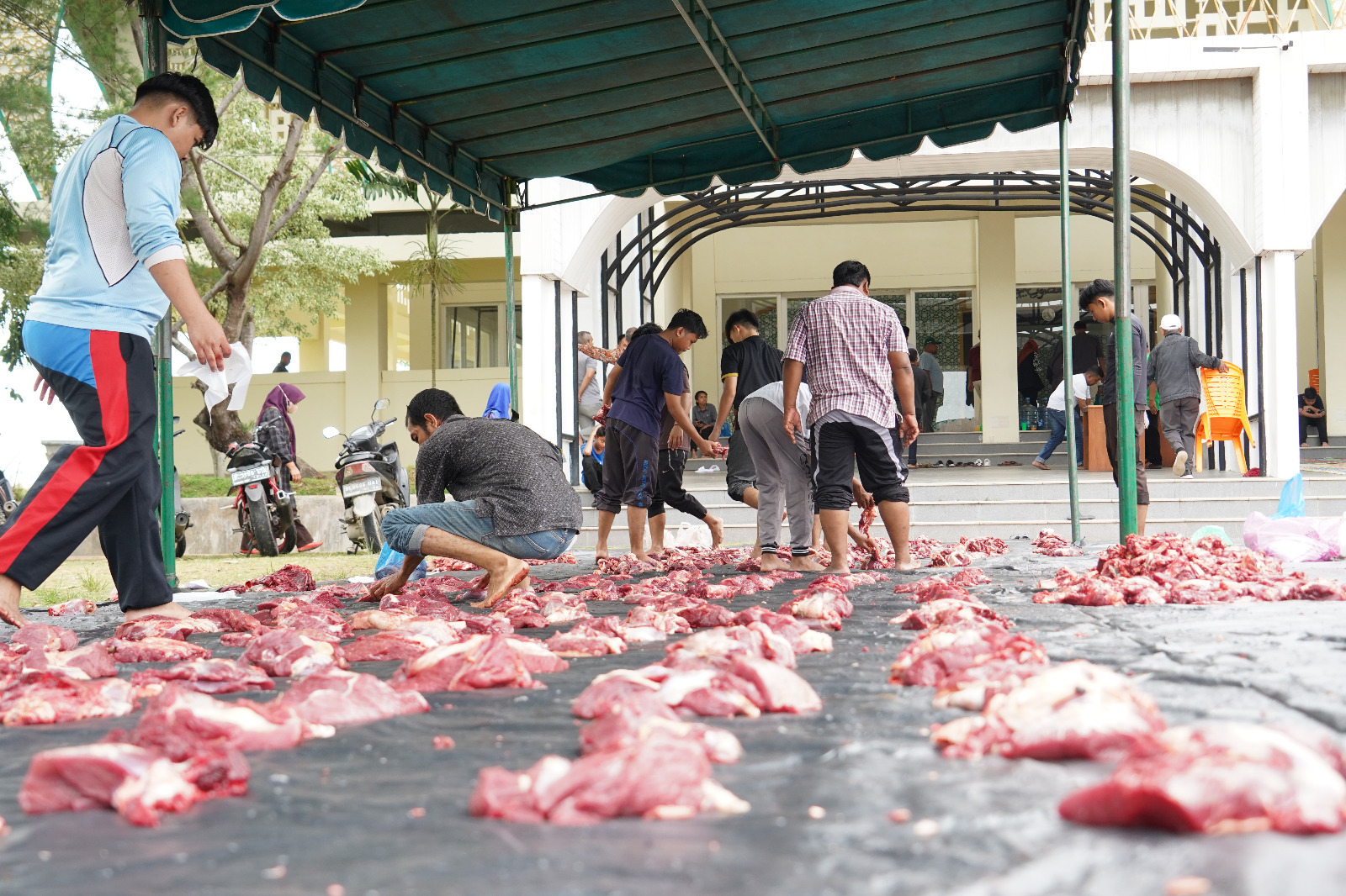 Unimal Kurban 13 Ekor Sapi di Kampus Reuleut, 8 Lainnya untuk Warga Sekitar
