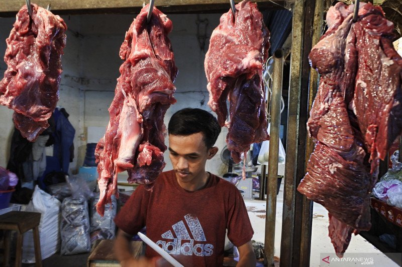 BUMN Impor Daging Brasil untuk Jaga Stabilitas Harga Jelang Lebaran