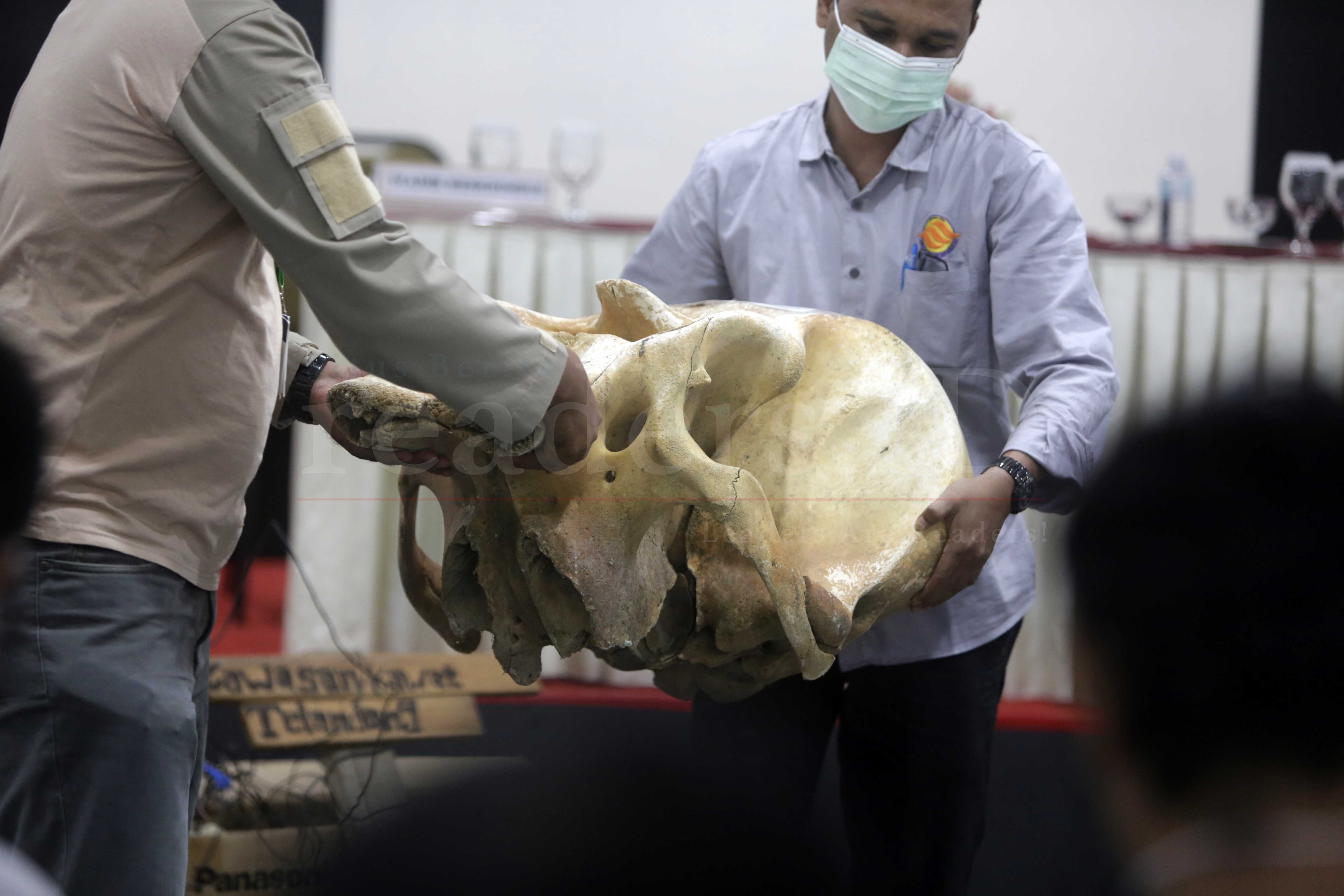 Foto Feature: Pelatihan Forensik Satwa Bagi Penegak Hukum