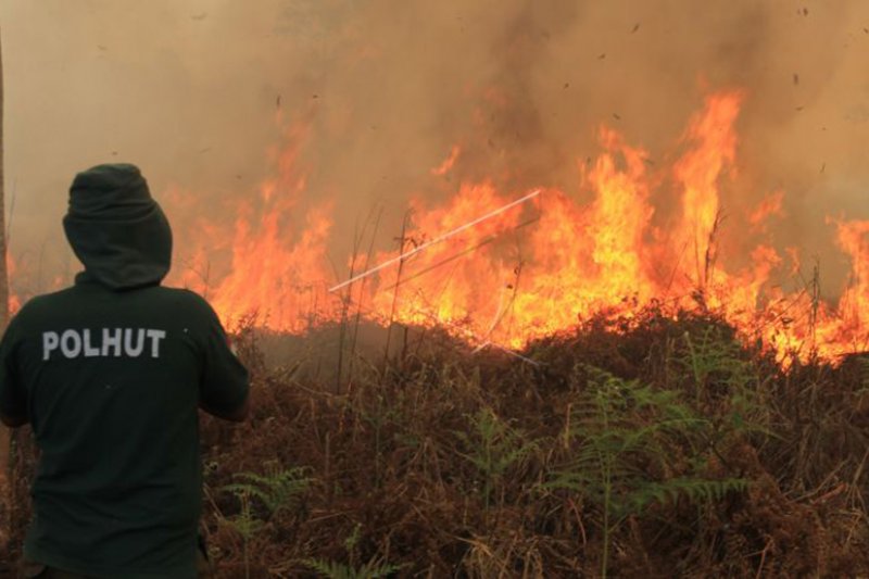 Kerugian Aceh Akibat Bencana Capai Rp223 miliar