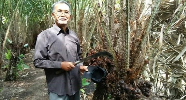 M Nur Samad, Sosok Pensiunan ASN Sukses Kembangkan Salak Pondoh di Sabang