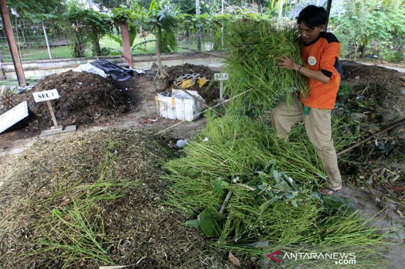 Kouta Berkurang, Petani Aceh Diminta Beralih Gunakan Pupuk Organik