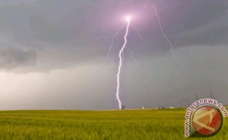 5 Warga Aceh Utara Tersambar Petir di Sawah, 1 Meninggal Dunia