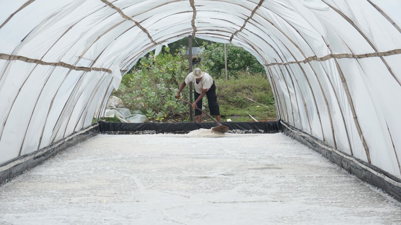 Asinnya Nasib Petani Garam Diterpa Pandemi