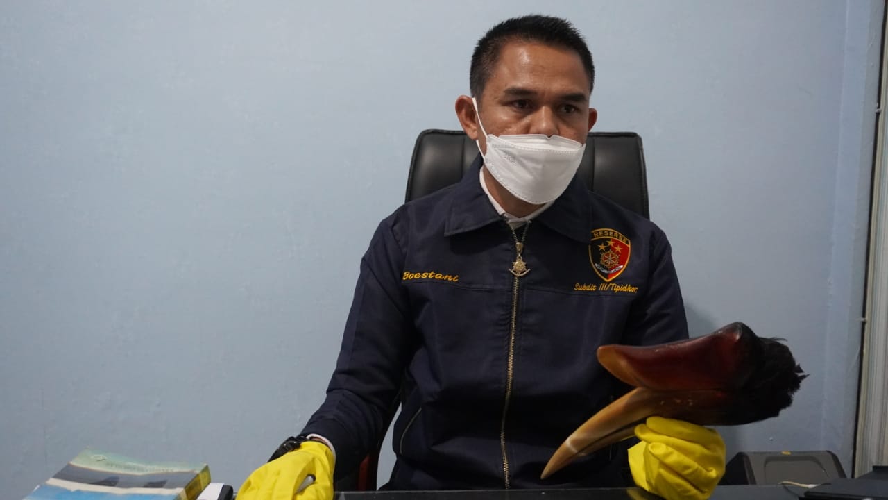 Polisi Amankan Warga Bener Meriah Usai Posting Satwa Dilindungi ke Somed