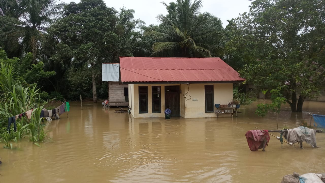 Banjir Rendam 7 Kecamatan di Aceh Jaya, Ribuan Jiwa Terdampak