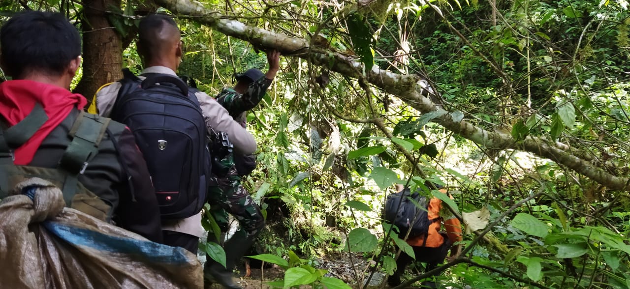Lima Warga Aceh Tengah Tersesat di Hutan Selama 13 Hari