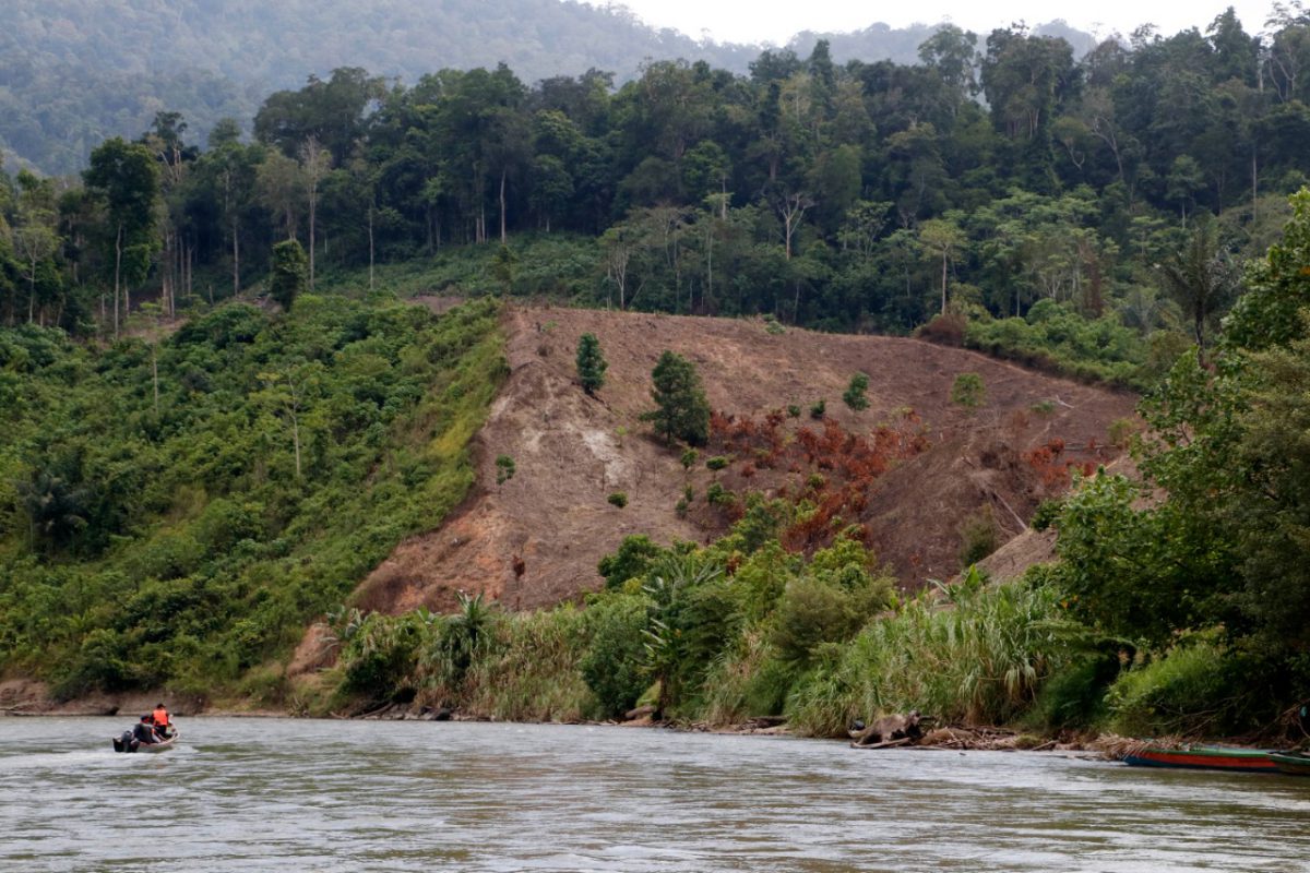 Bencana Ekologi di Aceh Masif, Pemulihan DAS Mendesak