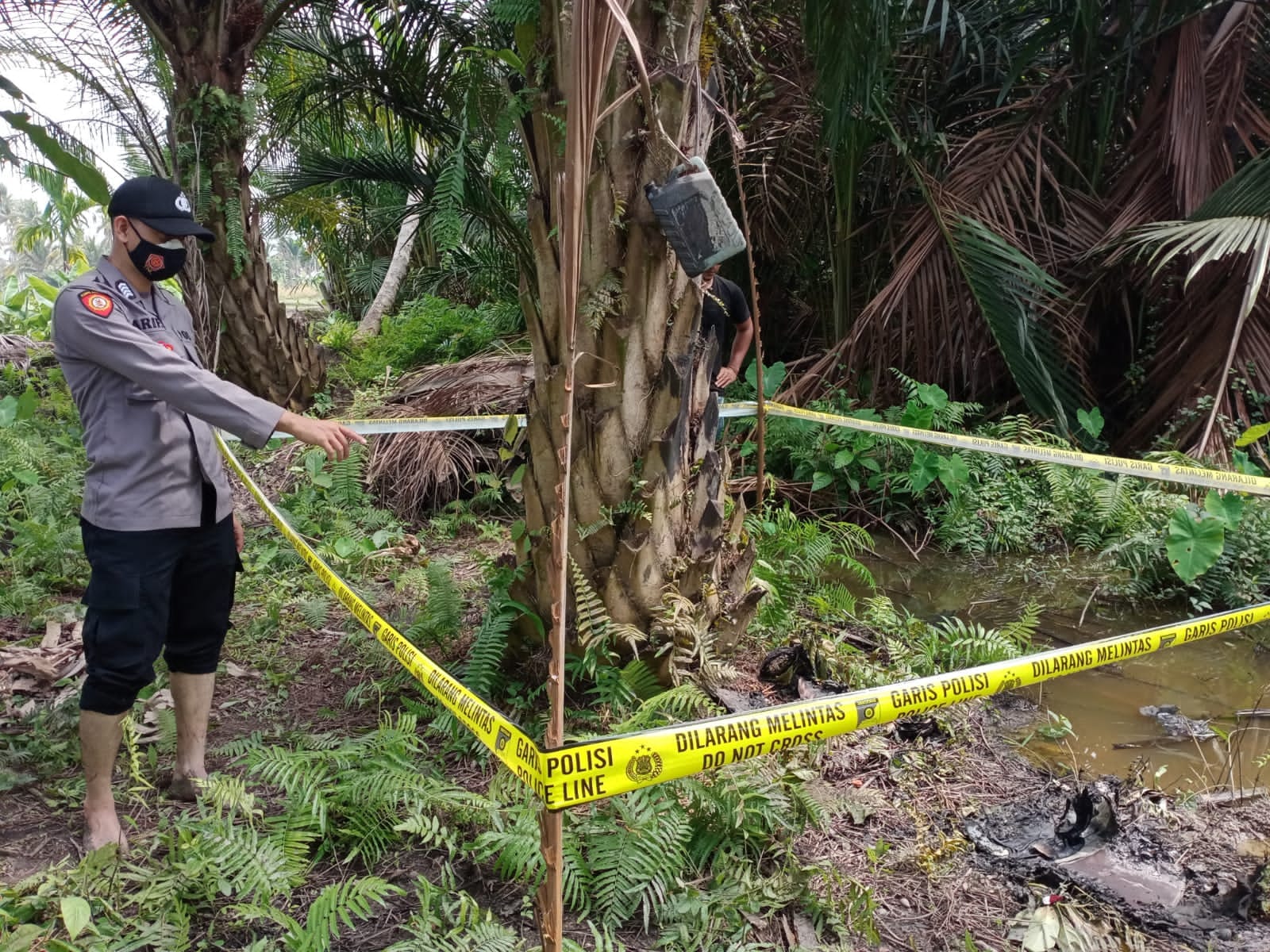 Warga Aceh Utara Ditemukan Tewas di Kebun Sawit, Tubuhnya Hangus Terbakar